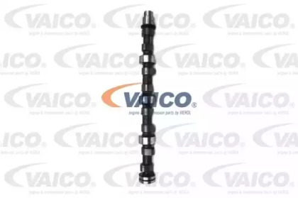 VAICO V30-0269