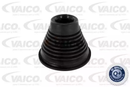 VAICO V30-0955