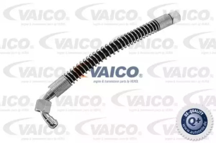 VAICO V30-1131