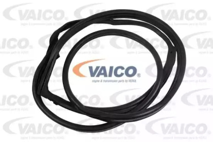 VAICO V30-1546