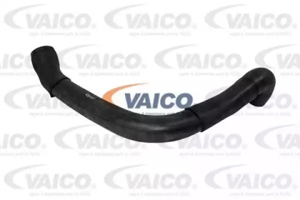 VAICO V30-1621