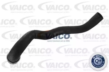 VAICO V30-1651