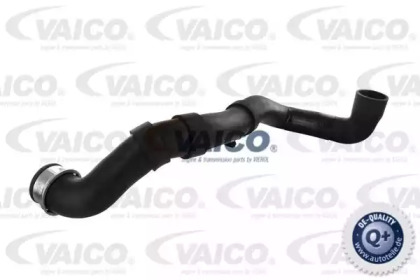 VAICO V30-1652