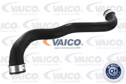 VAICO V30-1653