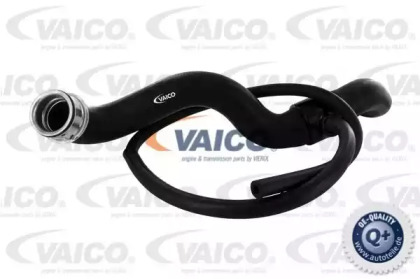 VAICO V30-1654
