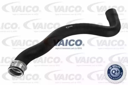 VAICO V30-1655