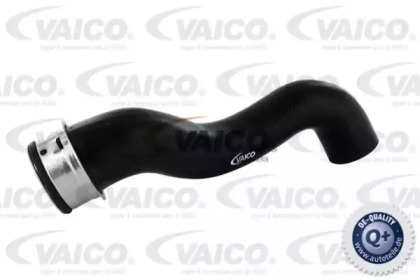 VAICO V30-1656
