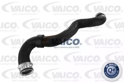 VAICO V30-1657