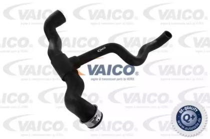 VAICO V30-1660