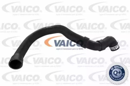 VAICO V30-1661