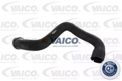 VAICO V30-1662