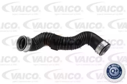 VAICO V30-1775