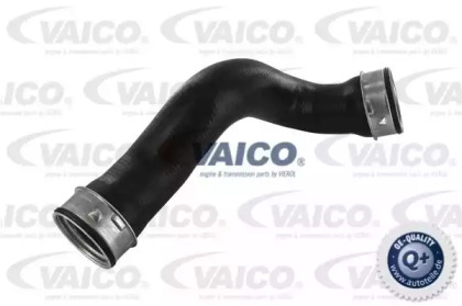 VAICO V30-1779