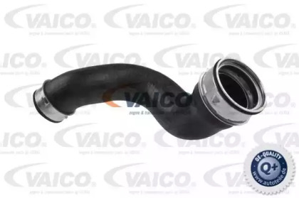 VAICO V30-1789