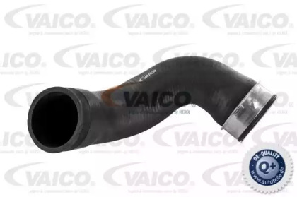 VAICO V30-1791