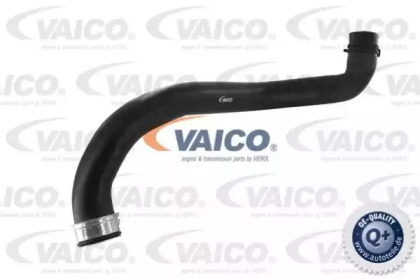 VAICO V30-1913