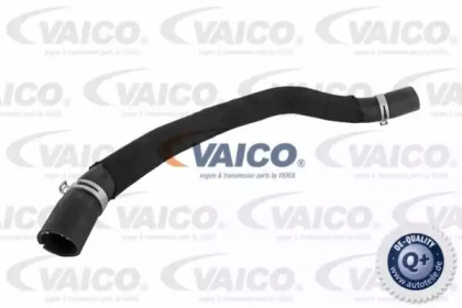 VAICO V30-1917