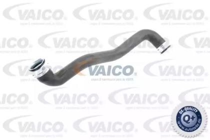 vaico v301918