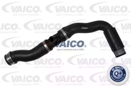 VAICO V30-2222