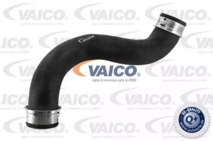 VAICO V30-2225