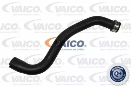 VAICO V30-2227