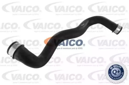 VAICO V30-2228