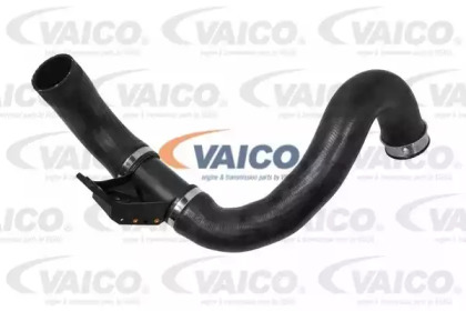 VAICO V30-2420