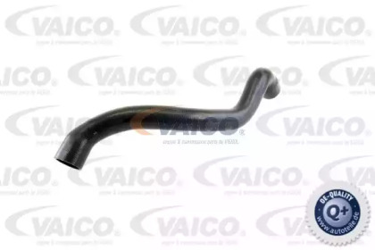 VAICO V30-2686