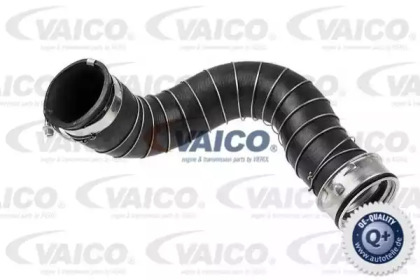 VAICO V30-2711