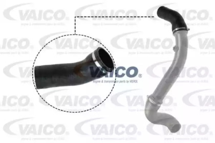 VAICO V30-2717