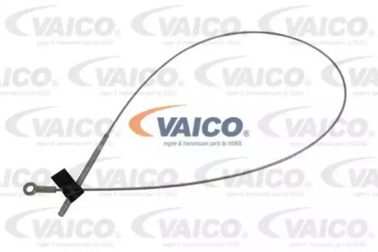 VAICO V30-30043