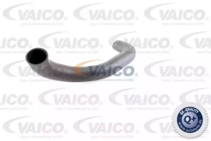 VAICO V30-3124 VAICO V30-3124