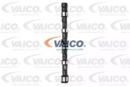 VAICO V40-0025