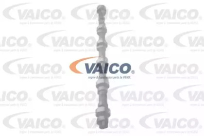 VAICO V40-0031