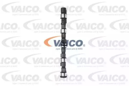 VAICO V40-0081