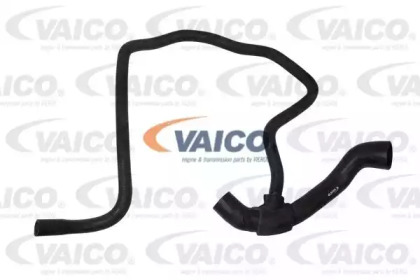 VAICO V40-1346