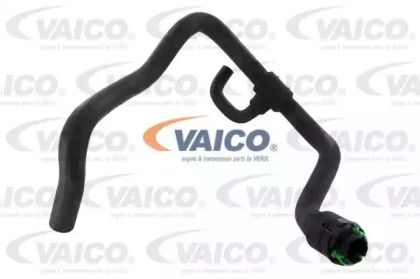 VAICO V40-1771