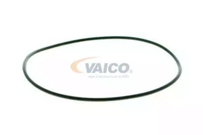 vaico v4050054