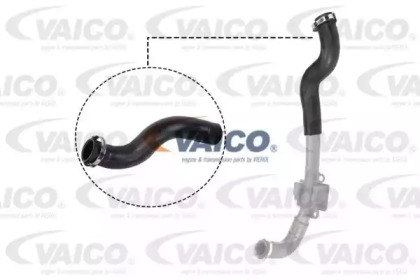 VAICO V46-0830