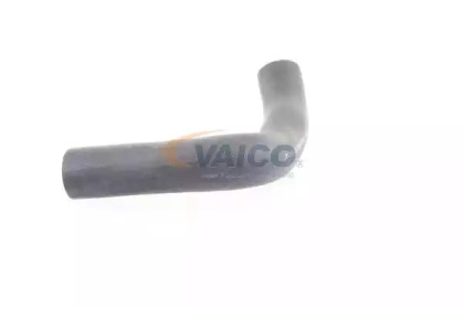 VAICO V48-0062