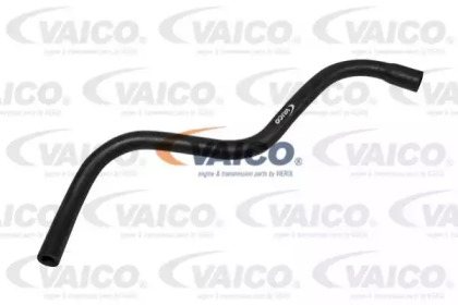 VAICO V50-0065