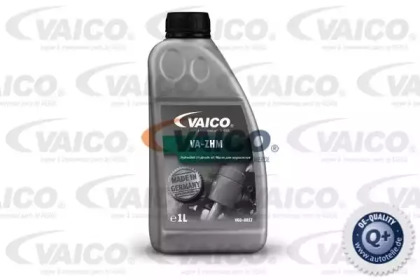 VAICO V60-0017