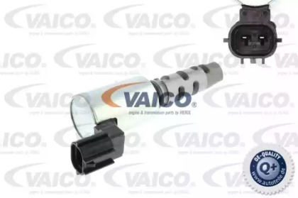 VAICO V70-0346