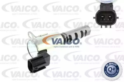 VAICO V70-0348