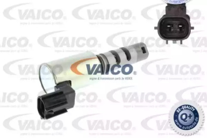 VAICO V70-0351