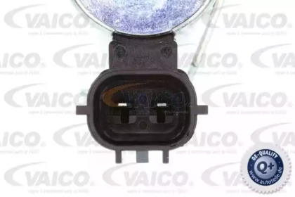 vaico v700353