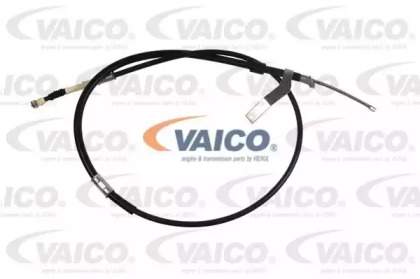 VAICO V70-30034