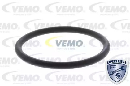 vemo v10990003