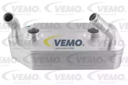 VEMO V15-60-6016