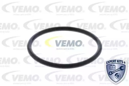 vemo v15991905